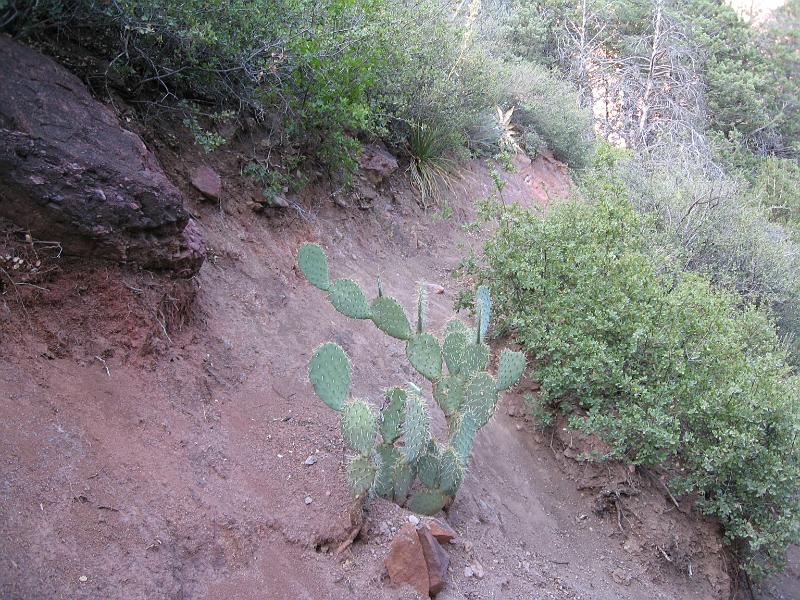 Tonto Natural Bridge 154.jpg